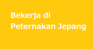 Keuntungan bekerja di bagian Peternakan Jepang