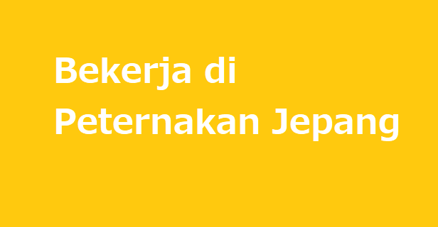 Keuntungan bekerja di bagian Peternakan Jepang